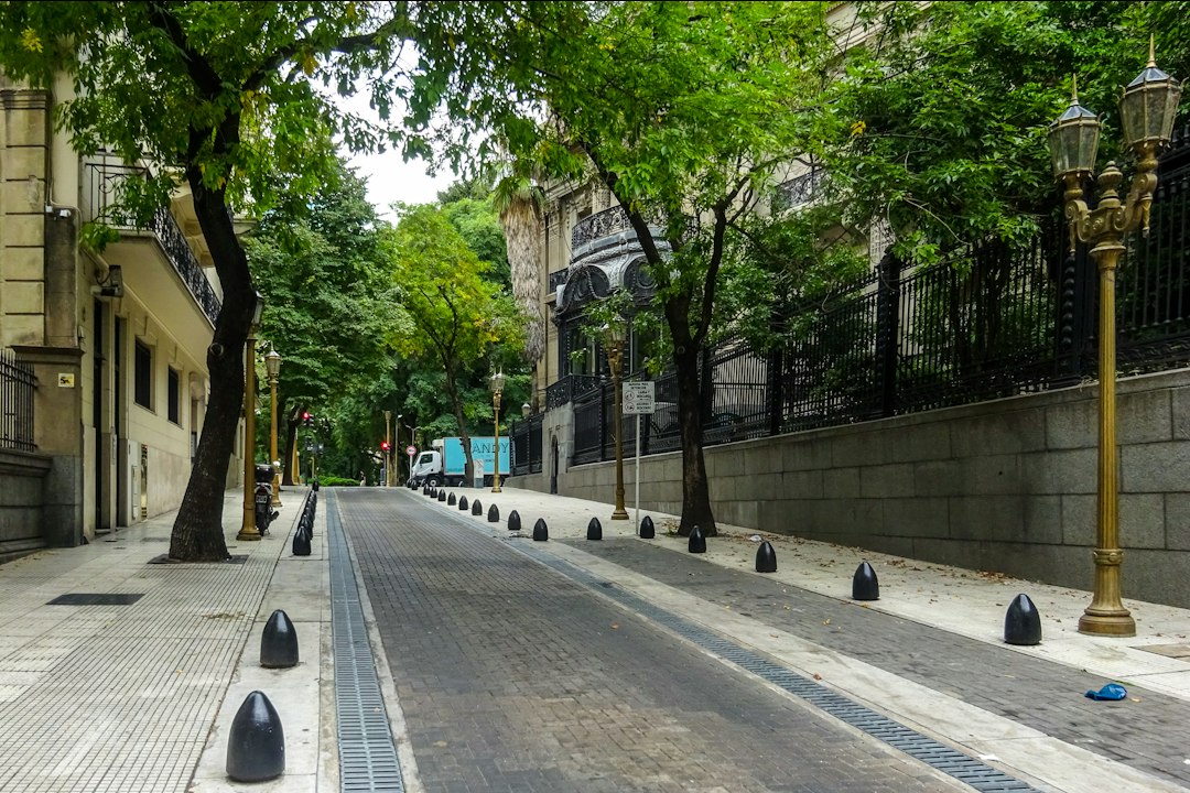Buenos Aires’te ağaçlıklı bir yerleşim sokağı